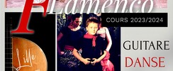 Peña Los Flamencos  - Cours de Flamenco danse guitare et cajon 