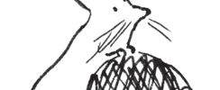Festival Gribouillis ! 6e édition